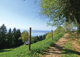 motiv-600x300-wandern